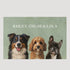 16x24 POSTER HORIZONTAL
